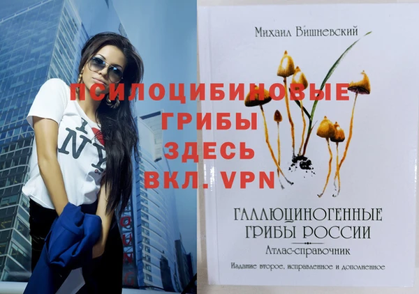 героин Новозыбков