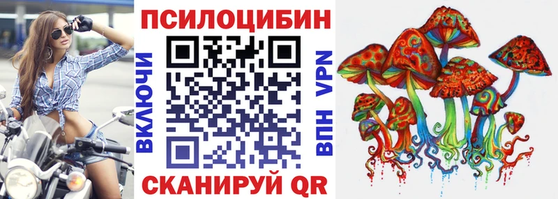 Галлюциногенные грибы мицелий где продают Петров Вал