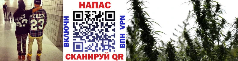 Канабис Bruce Banner  наркота  Петров Вал 